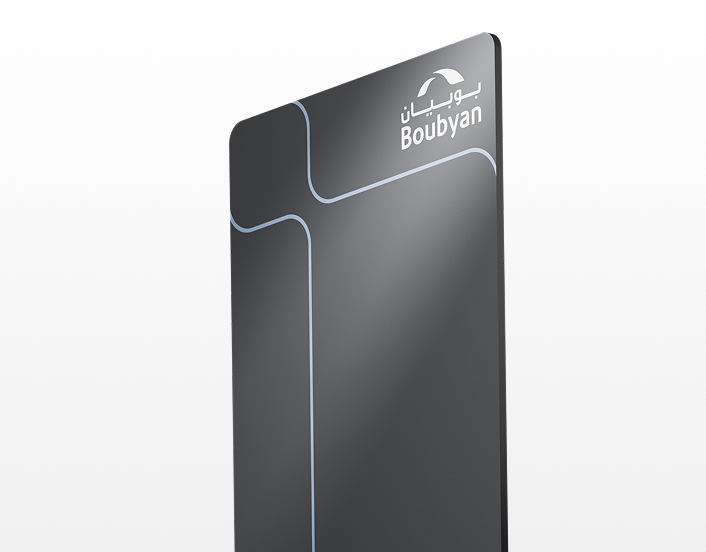 Main - Visa Platinum Credit Card.png
