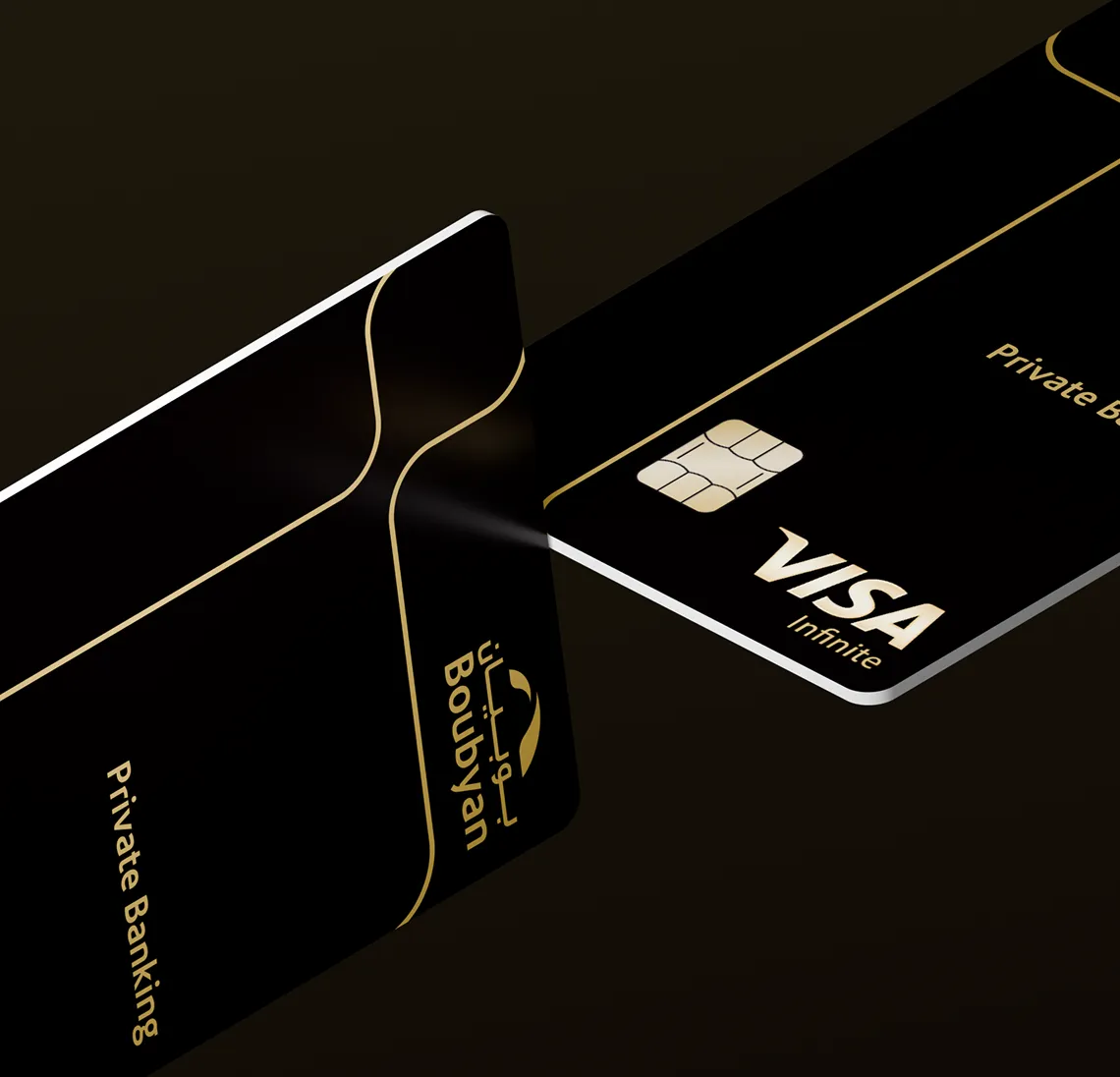 Page - Private Visa Infinite H1.png