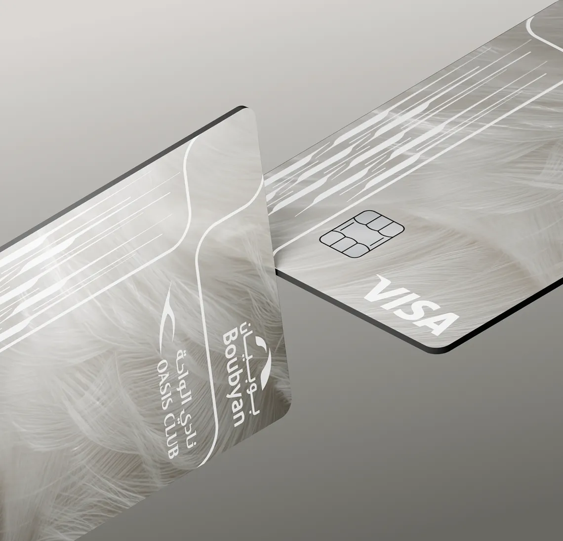 Page - Visa Oasis Prepaid H1.png